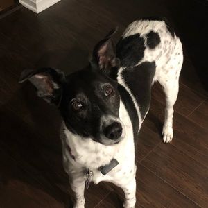 Meet your Posher, Liz